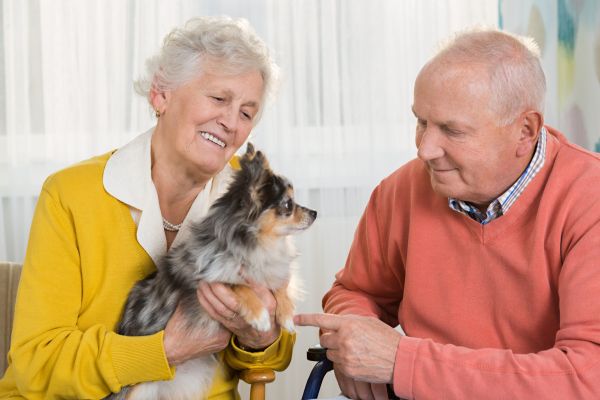 All About Pets in Senior Living Communities